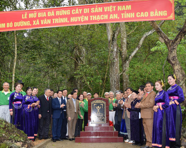 Tỉnh[-]Cao[-]Bằng[-]long[-]trọng[-]tổ[-]chức[-]đón[-]Bằng[-]công[-]nhận[-]Cây[-]Di[-]sản[-]Việt[-]Nam